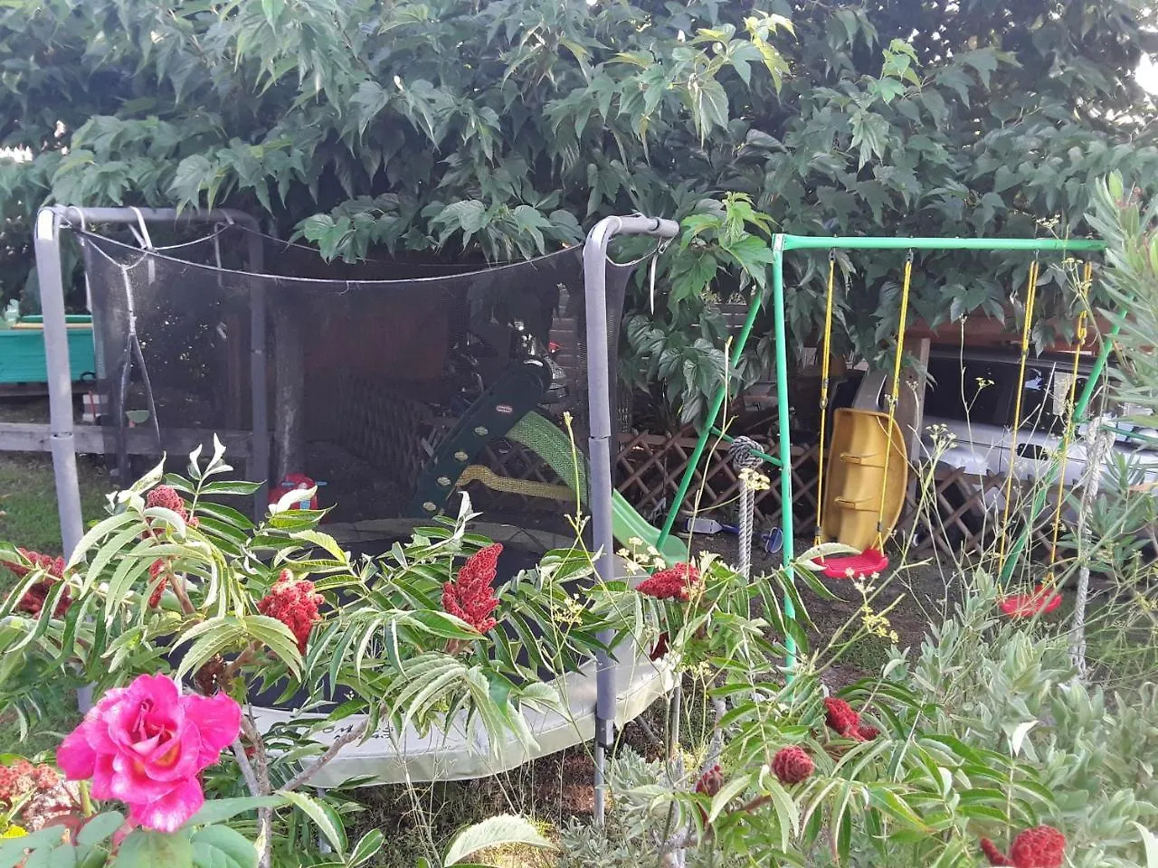 Fréjus Mas Aurelia B&B לינה וארוחת בוקר