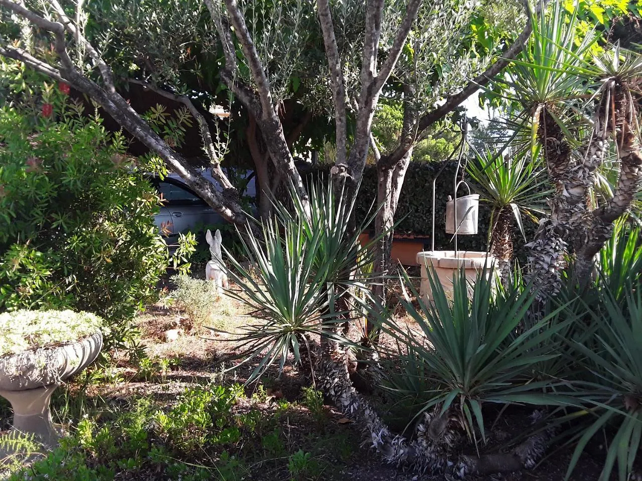 Fréjus Mas Aurelia B&B